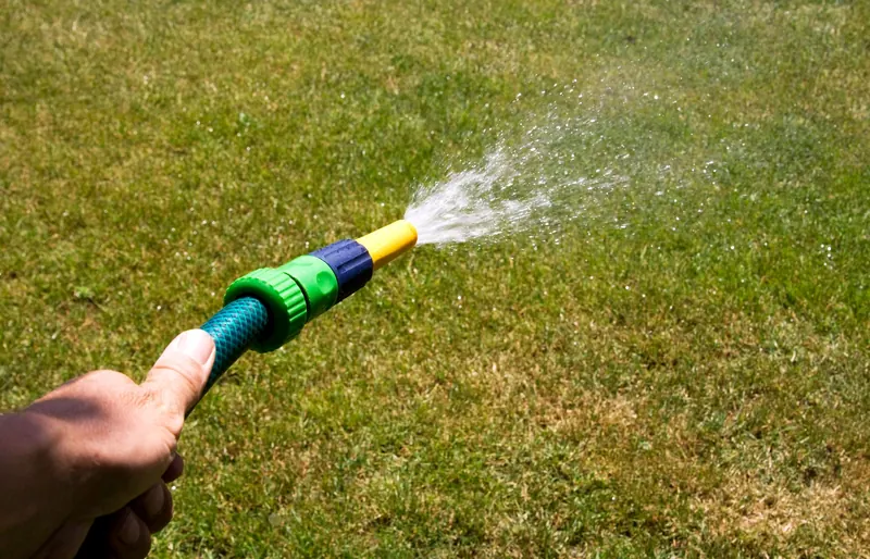 Close-up of a garden hose spraying water on grass, illustrating lawn care during a sunny day